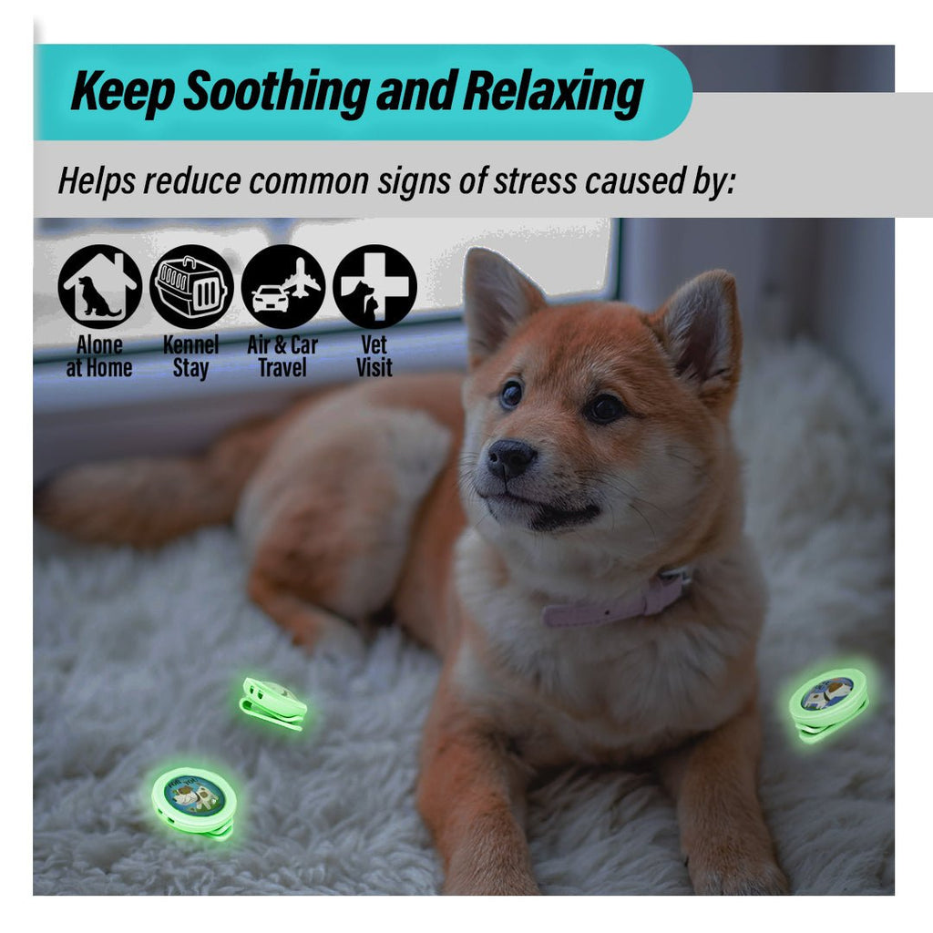 Aegis GLOW Calming Clip for Dog | 100% Natural Oil Helps your Dogs feel Safe and Happy - KN FLAX