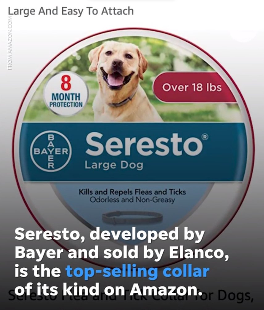 Amazon is reviewing best-selling Seresto flea collar after reports of illnesses, deaths - KN FLAX