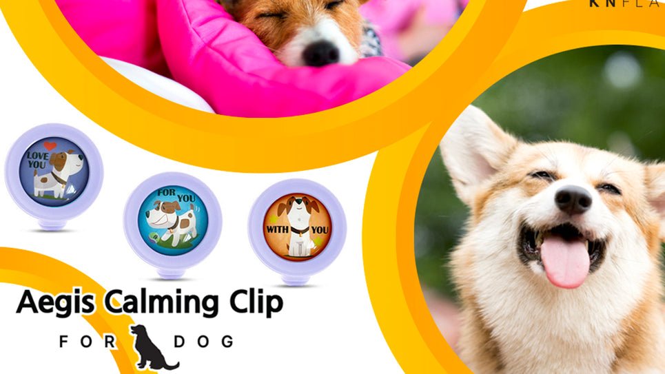 Reduce Your Dog's Stress With This Simple Clip! - KN FLAX